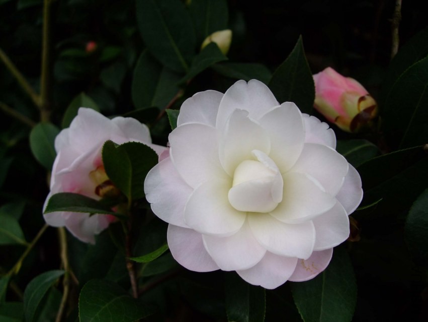 Ʈ�� 2014-2-23 055.jpg