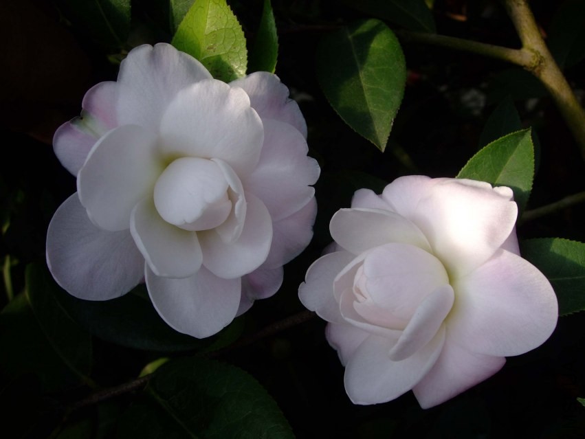 Ʈ�� 2014-2-20 016.jpg