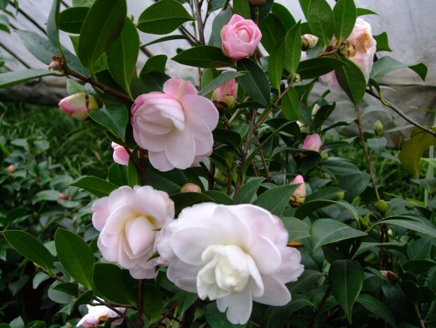 Ʈ�� 2014-2-23 054.jpg