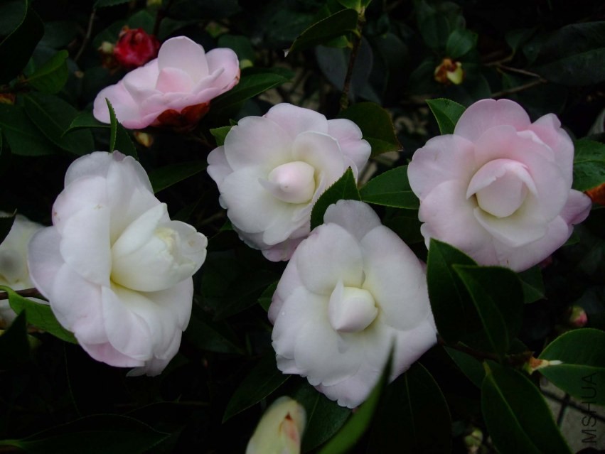 Ʈ�� 2014-2-18 00311.jpg