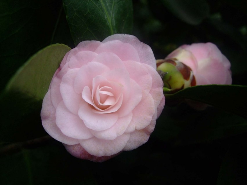 �찲�� 2014-2-17 048.jpg