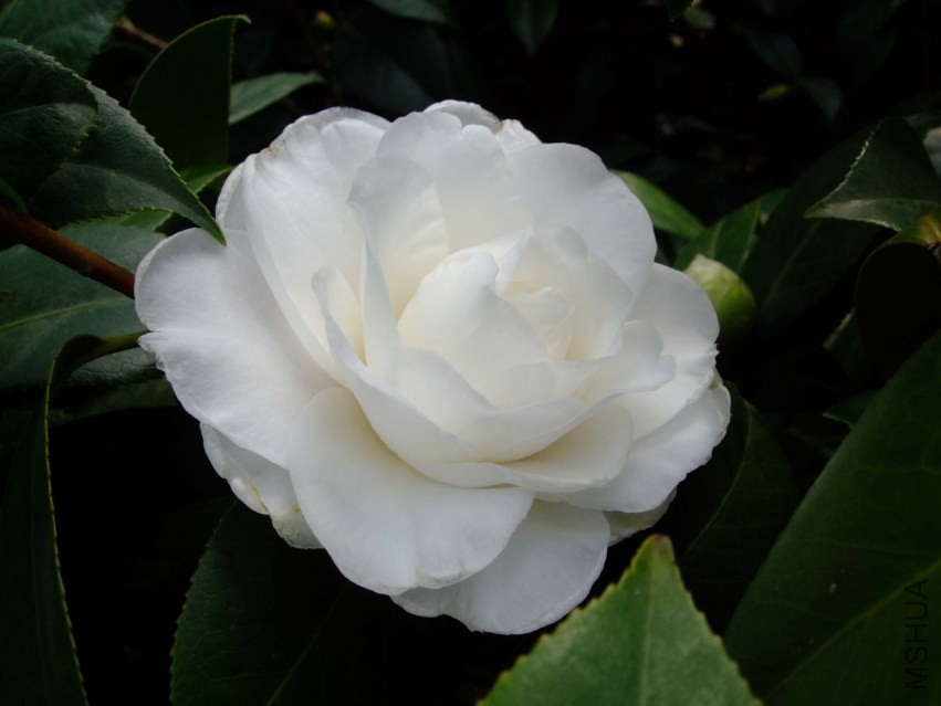 Ƥ˹ 2014-2-23 094.jpg