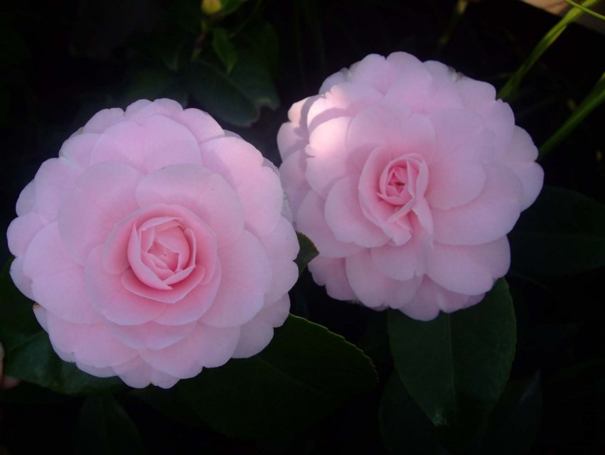 ���� 2014-2-20 002.jpg