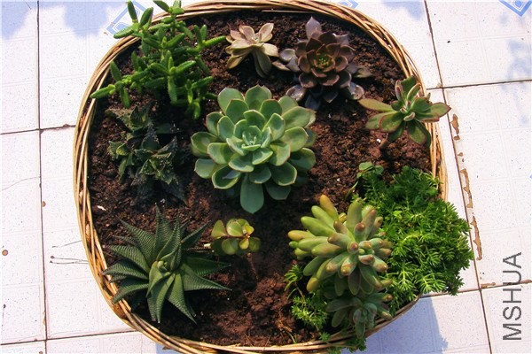 ���͵����� �Ǻ�01.jpg