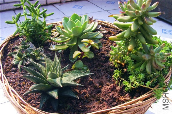 ���͵����� �Ǻ�02.jpg