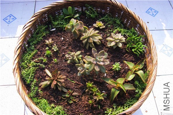 ���͵����� �Ǻ�03.jpg