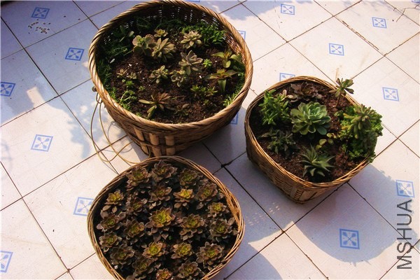 ���͵����� �Ǻ�05.jpg