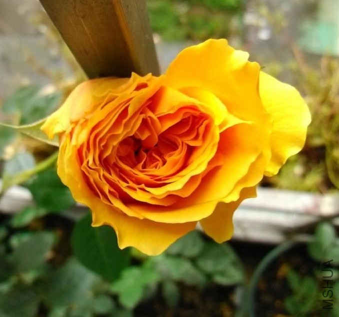 QQͼƬ20140223222520.jpg