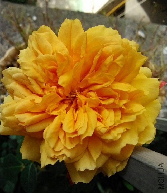 QQͼƬ20140223222458.jpg