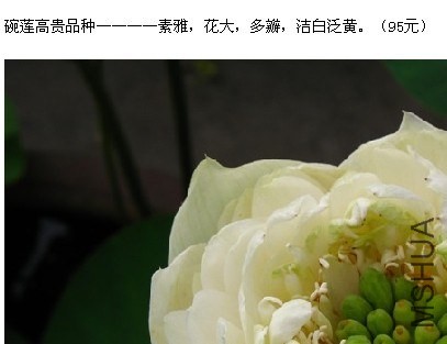QQͼƬ20140224101158.jpg