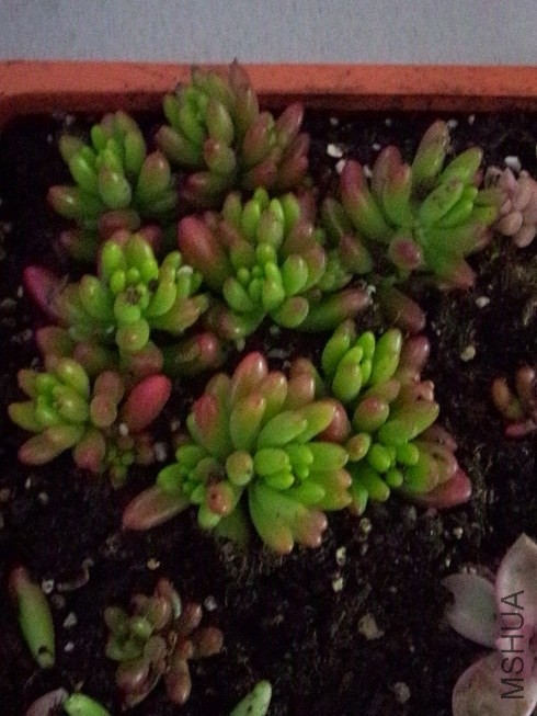 ��֮�� (1).jpg