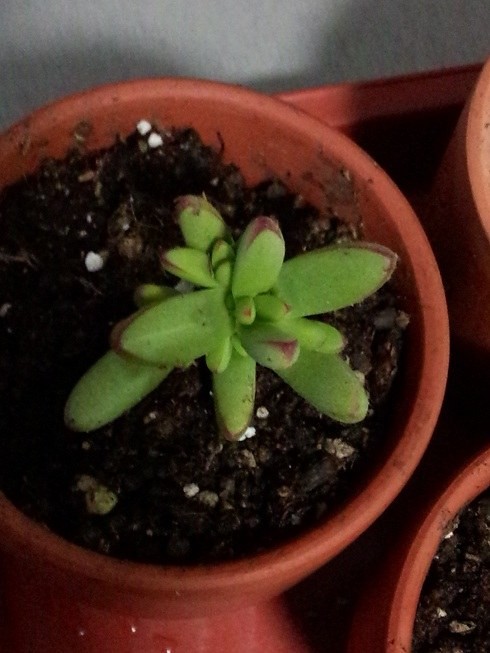 С�� �� (1).jpg