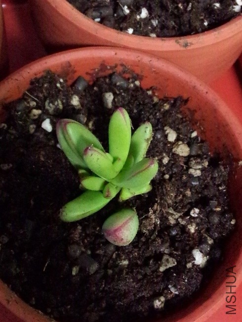 С�� �� (2).jpg