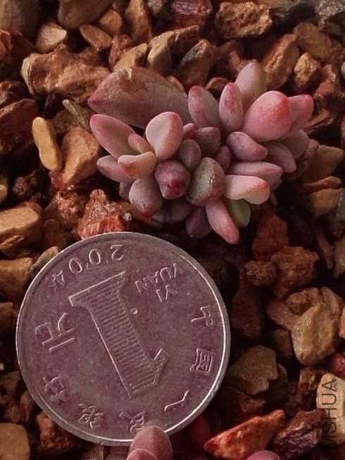 ���� (1).jpg