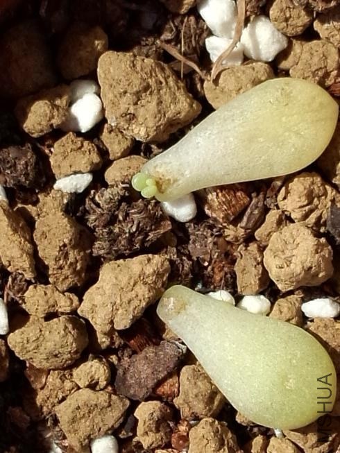 ���� (1).jpg