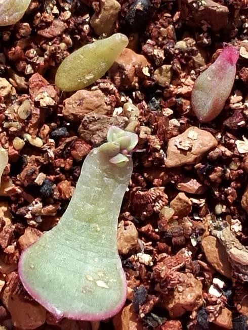 ���� (1).jpg