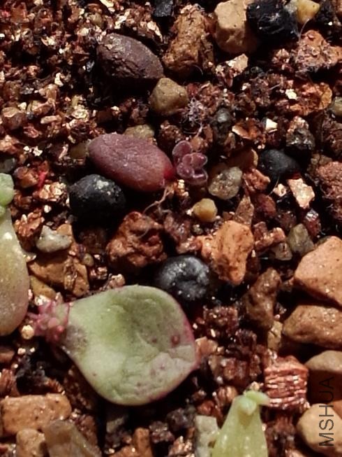 ���� (2).jpg