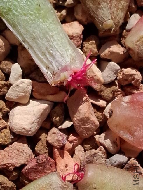 ���� (3).jpg