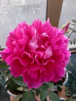 T�췽ҹ̷.jpg