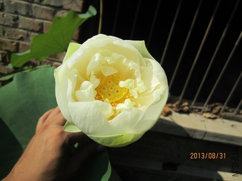 QQͼƬ20140224215854.jpg