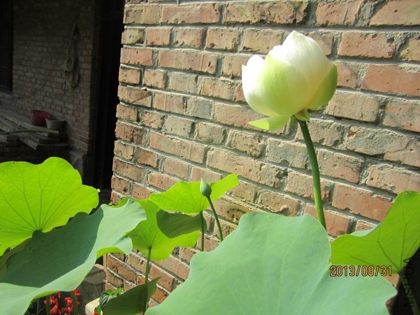 QQͼƬ20140224215906.jpg