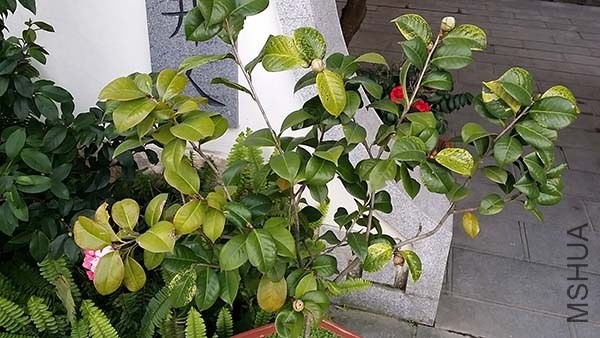 20140225_143215.jpg