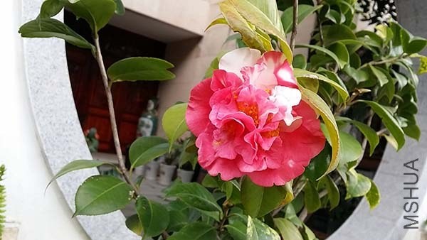 20140225_143147.jpg