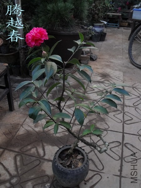 DSCF3281_������С.jpg