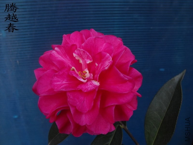 DSCF3274_������С.jpg