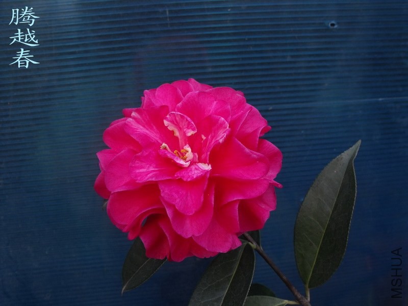 DSCF3278_������С.jpg
