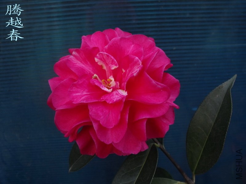 DSCF3279_������С.jpg