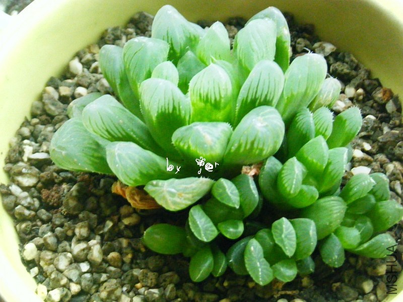 DSCF9474_����.jpg