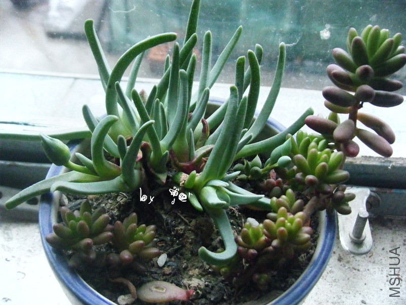 DSCF9447_����.jpg