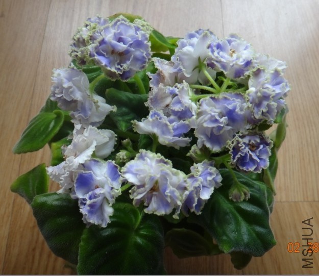 QQͼƬ20140226115629.jpg