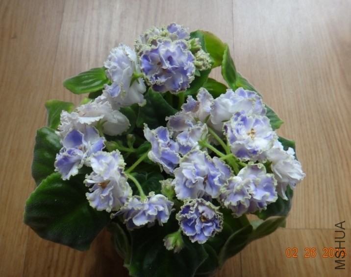 QQͼƬ20140226115545.jpg