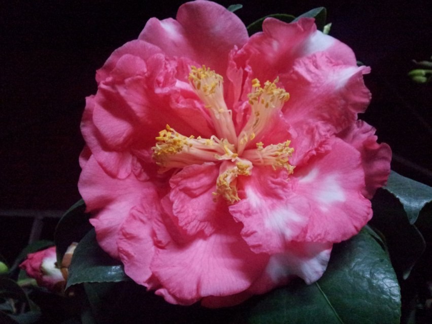 20140226_000828.jpg