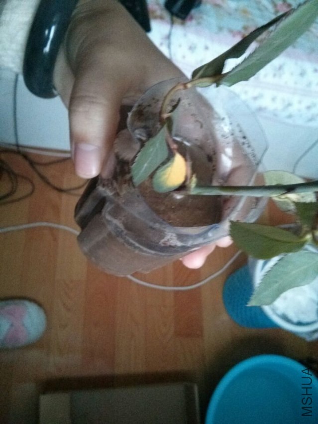 wifi0s0-758591970IMG_20140226_173812.jpg