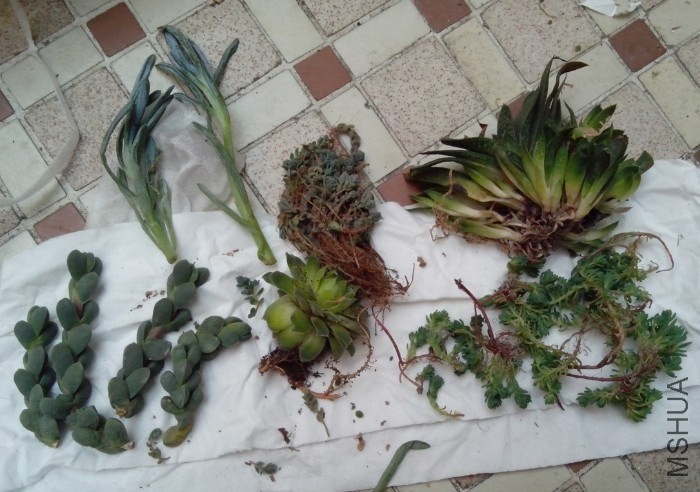 QQͼƬ20140226191002.jpg