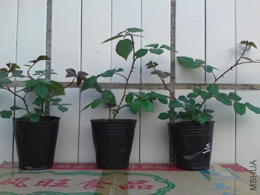 P23-02-14_17.48.JPG