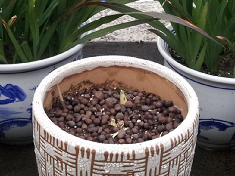 20140112_1.jpg