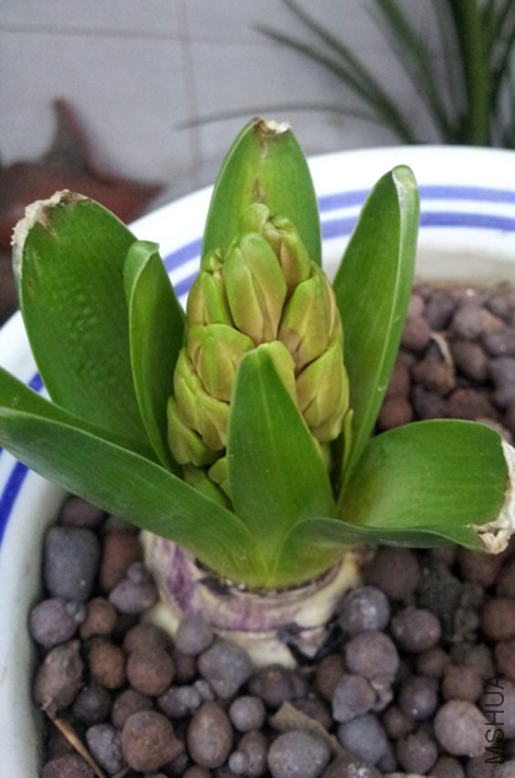 20140205_3-1.jpg