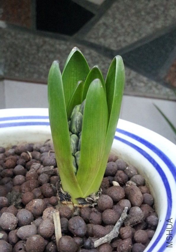20140205_3-2.jpg