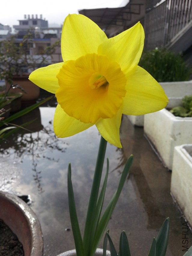 20140225_1-1.jpg