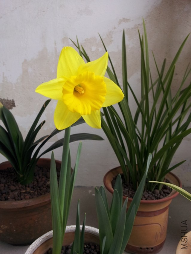 20140225_1.jpg