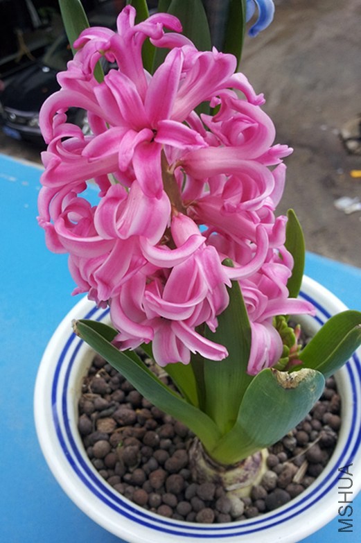 20140226_3-4_����.jpg