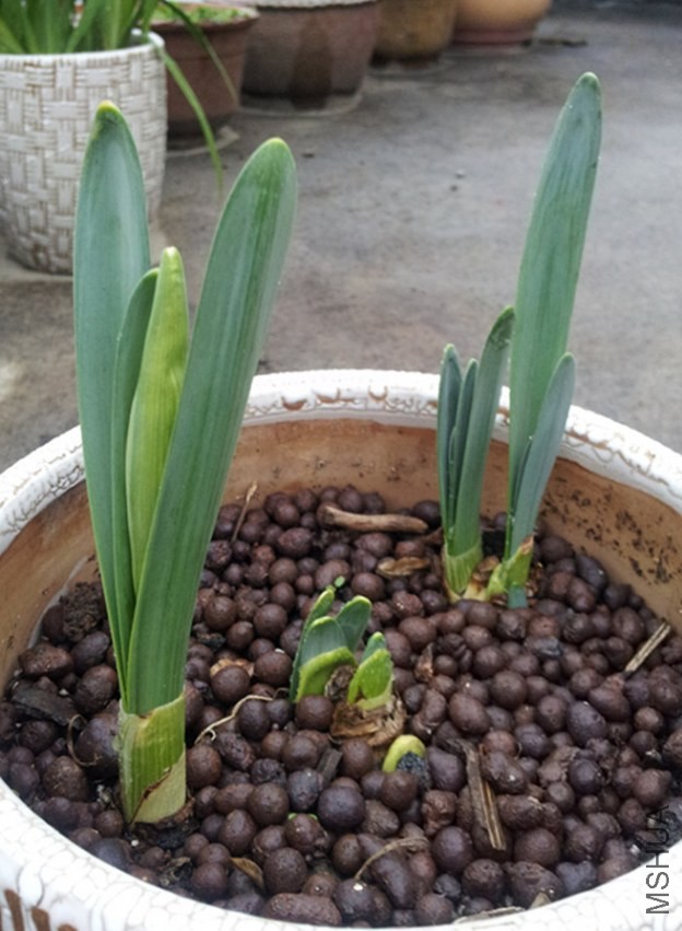 20140205_2_����.jpg