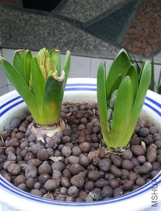 20140205_3_����.jpg