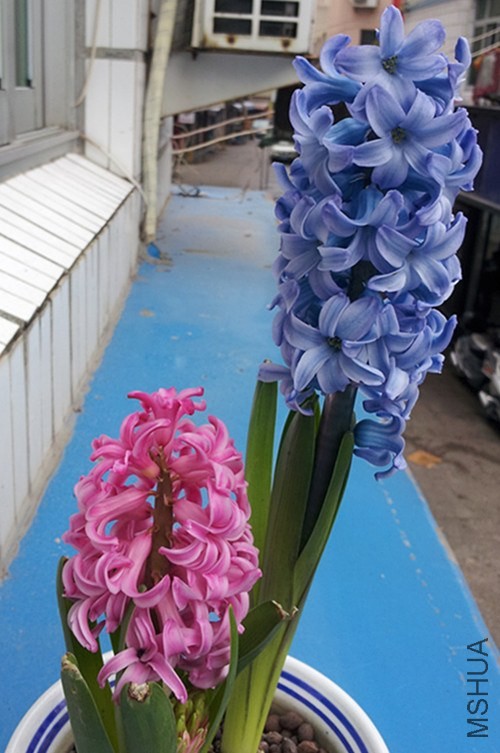 20140226_3-1_����.jpg