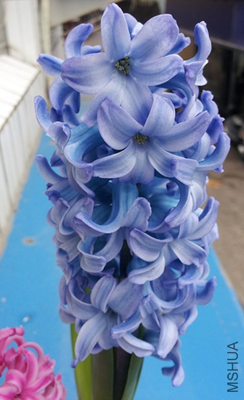 20140226_3-3_����.jpg