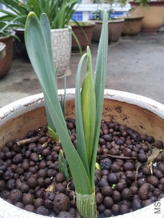 20140205_1_����.jpg